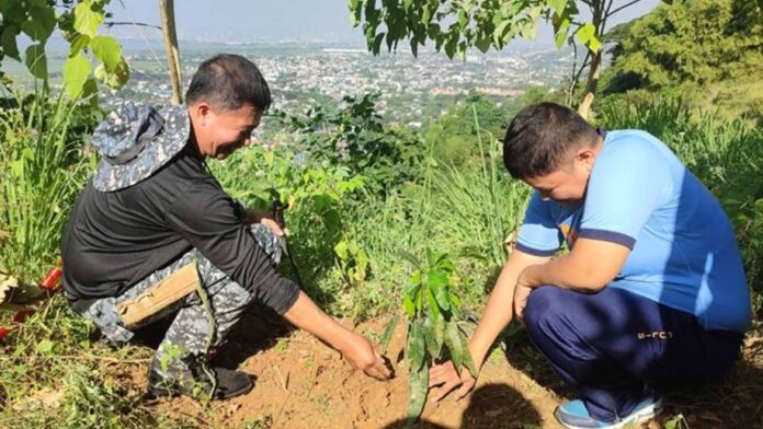 20240121-PAGEONE-Planting